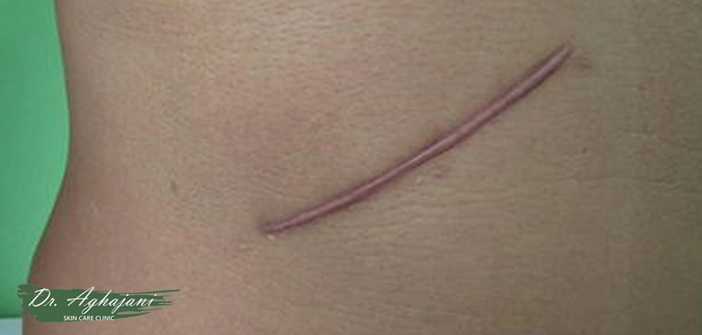 ویژگیهای ظاهری